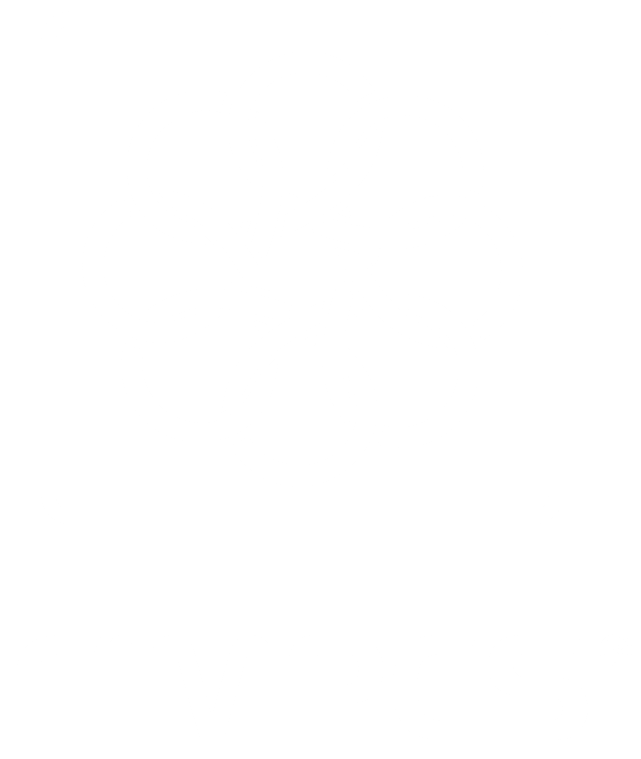 Logo FIMPES